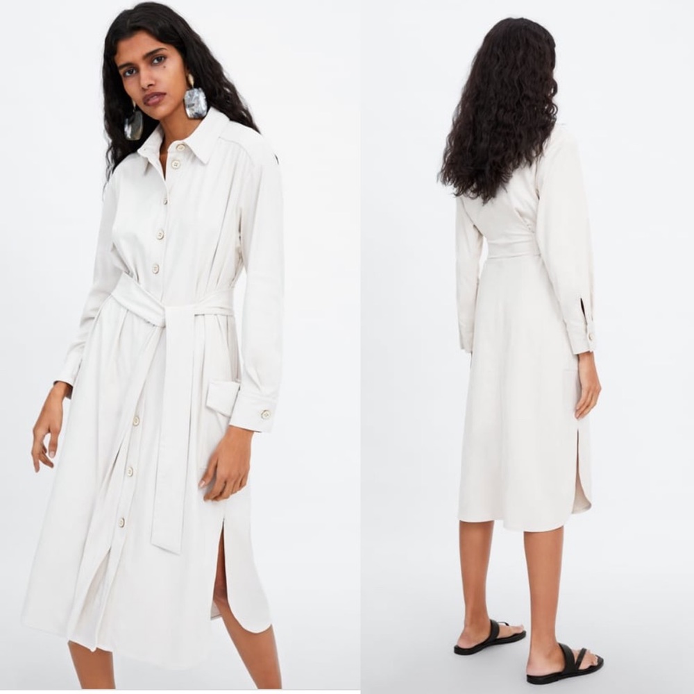 ZARA Faux Suede Dress